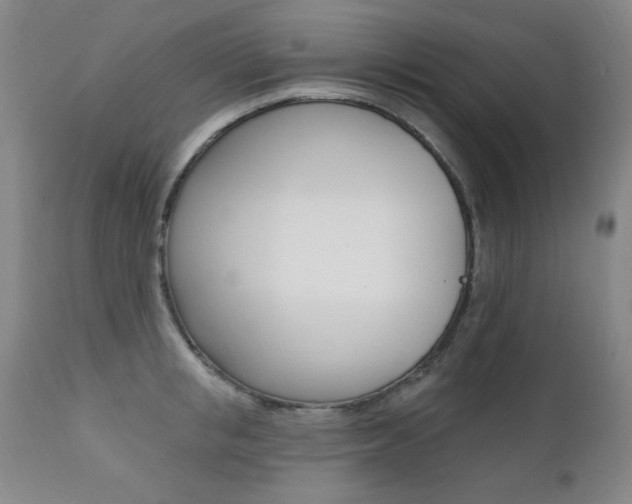 X0000111580853200907161154