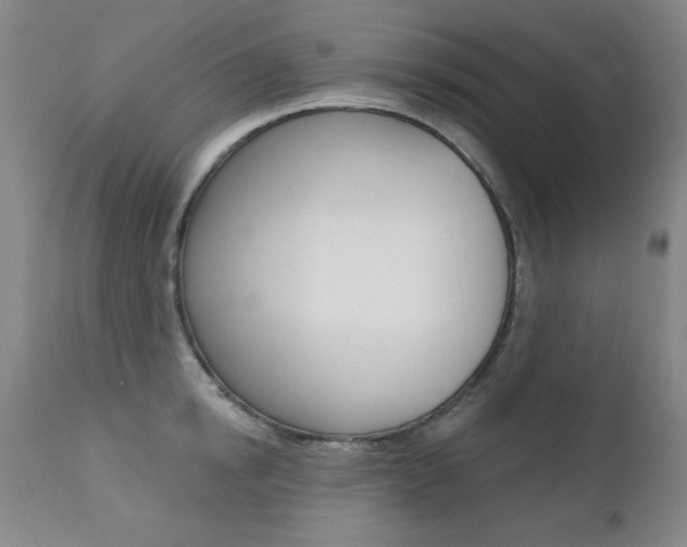 X0000111580854200907161154
