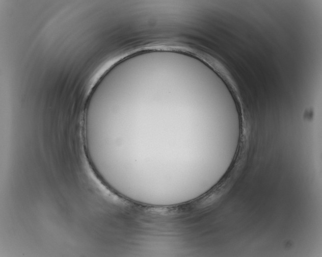 X0000111580855200907161154