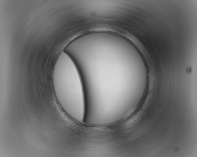 X0000111580857200907161154