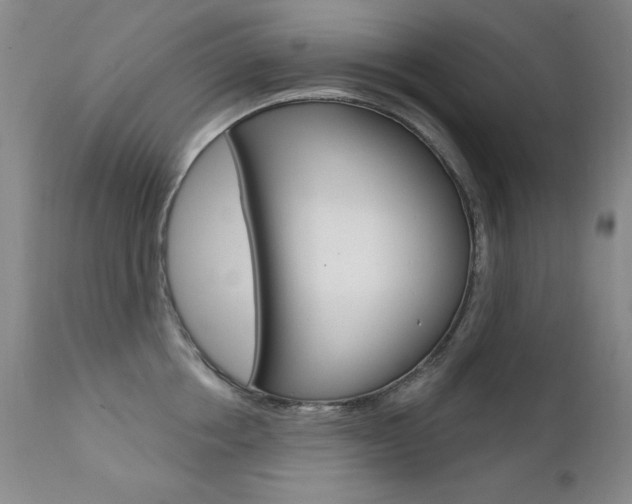 X0000111580858200907161154