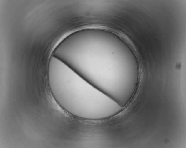 X0000111580860200907161154