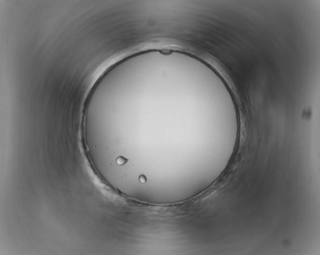 X0000111580861200907161154