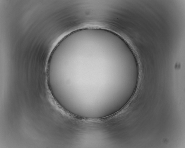 X0000111580864200907161154
