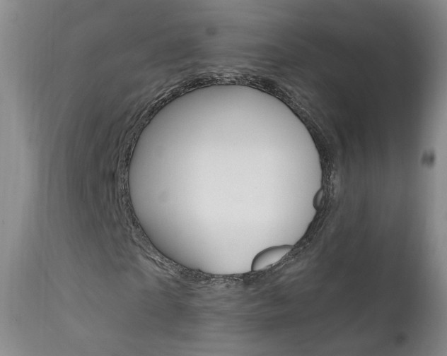 X0000111580865200907161153