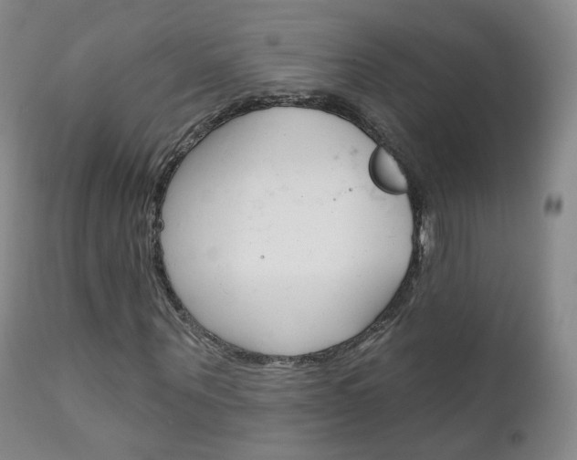 X0000111580867200907161153