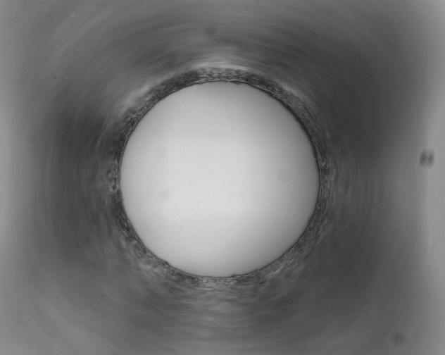 X0000111580870200907161153