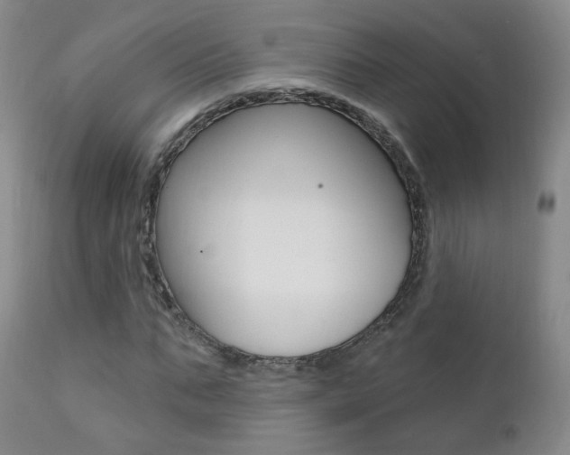 X0000111580871200907161153