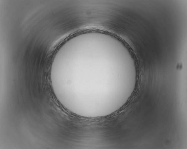 X0000111580872200907161153