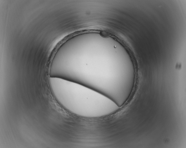 X0000111580875200907161153