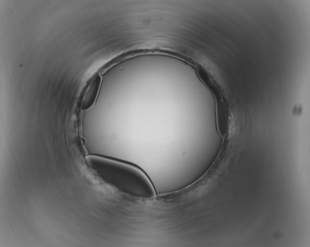 X0000111580876200907161153
