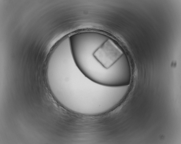 X0000111580877200907161153