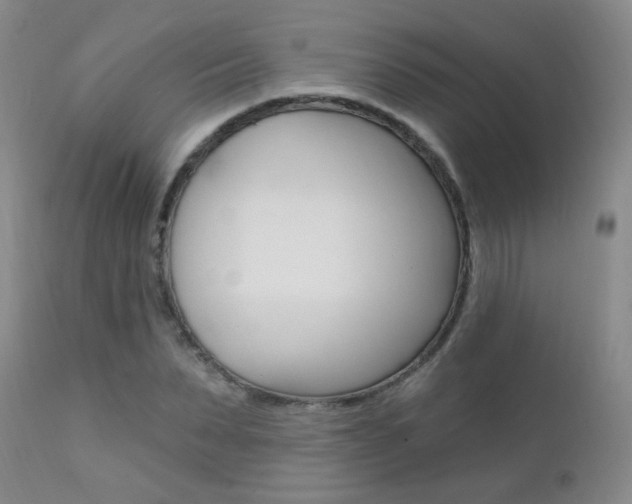 X0000111580879200907161153