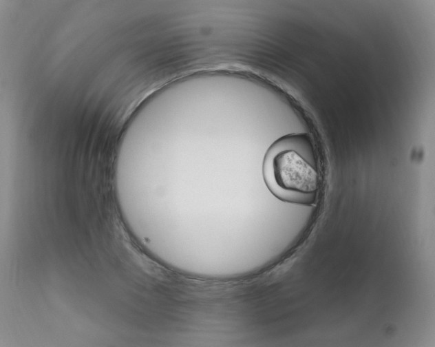 X0000111580881200907161153