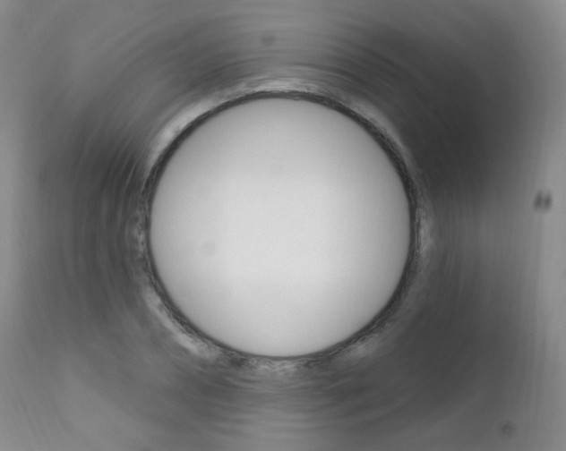 X0000111580882200907161153