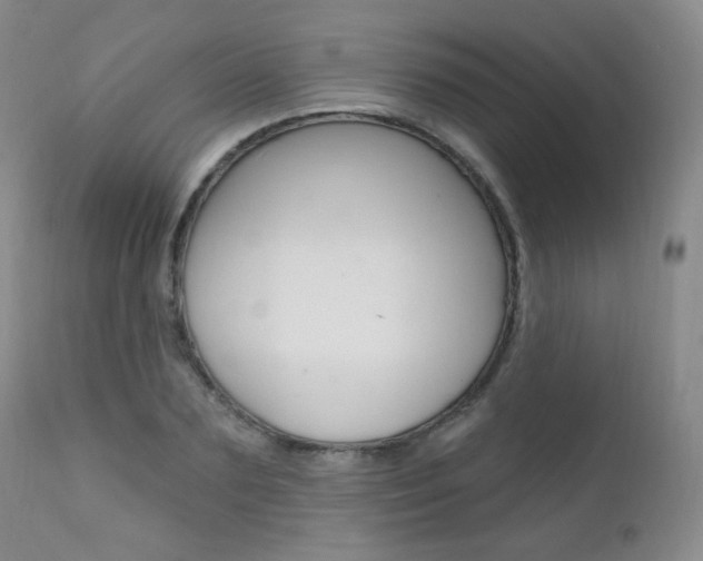 X0000111580883200907161153