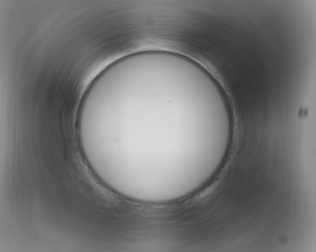 X0000111580885200907161153