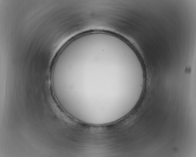 X0000111580887200907161153