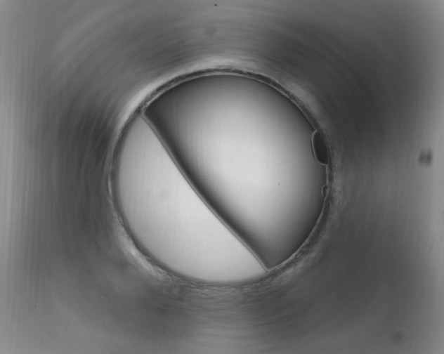 X0000111580888200907161153