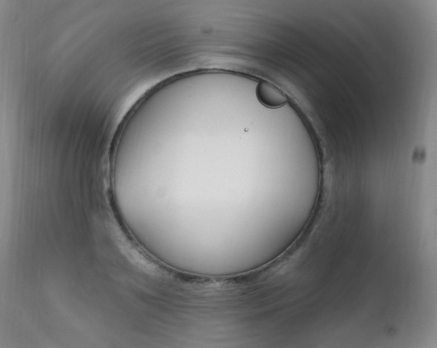 X0000111580891200907161153