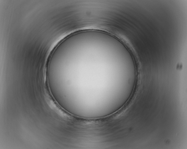 X0000111580892200907161153