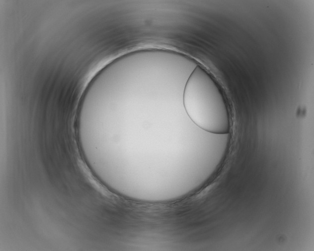 X0000111580893200907161153