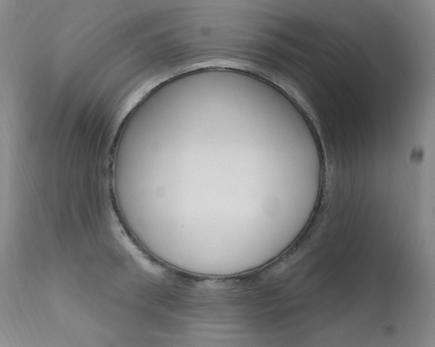 X0000111580898200907161153