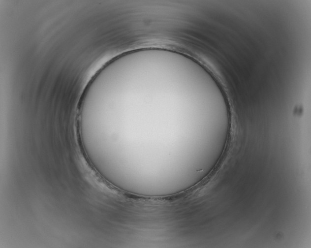 X0000111580899200907161153