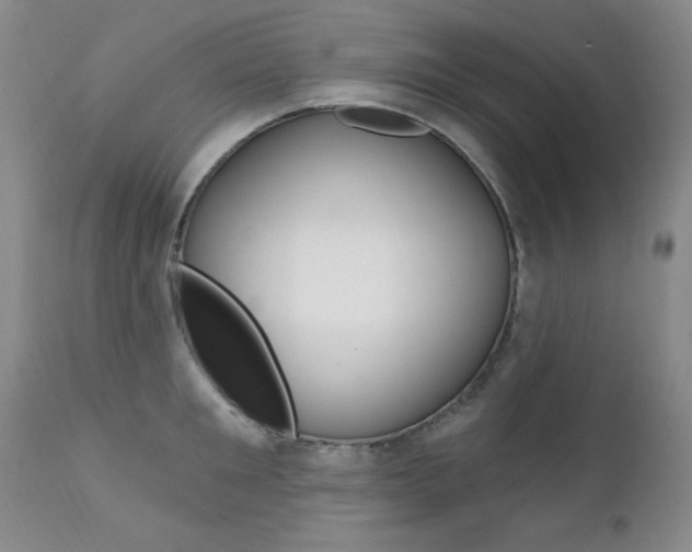 X0000111580901200907161153