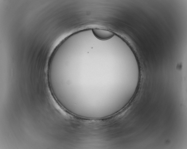 X0000111580902200907161153