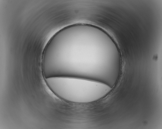 X0000111580903200907161153