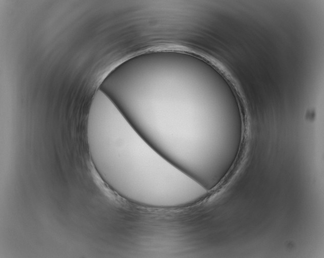 X0000111580905200907161153