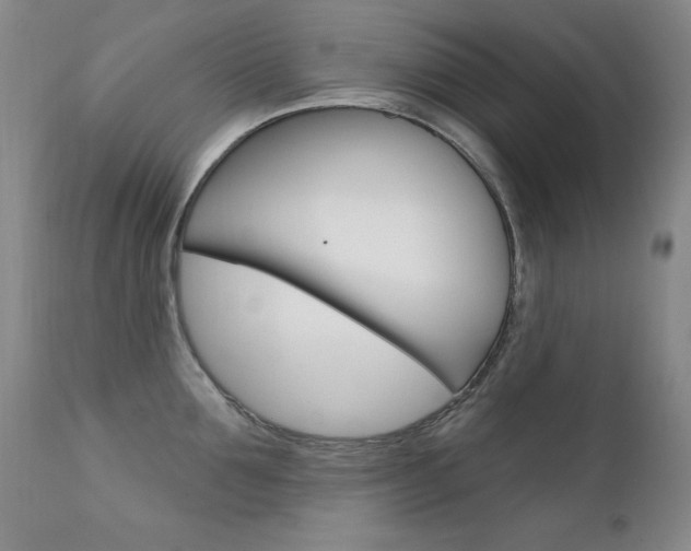 X0000111580907200907161153
