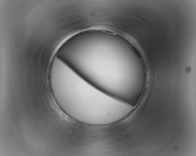 X0000111580908200907161153