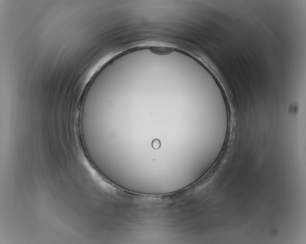 X0000111580909200907161153