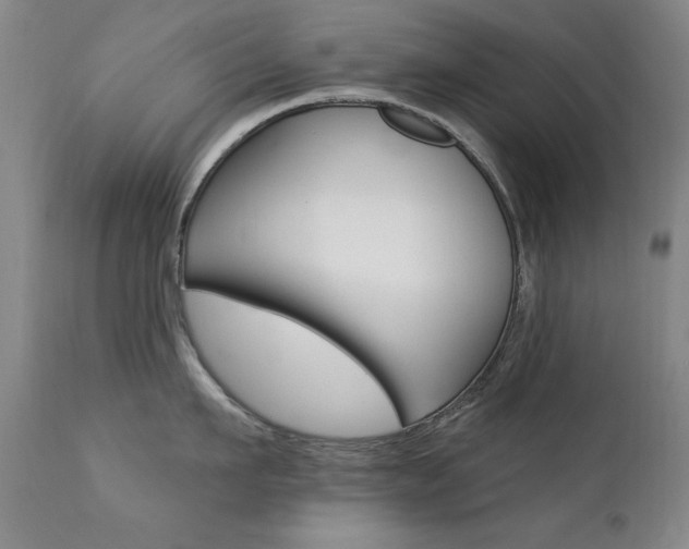 X0000111580911200907161153