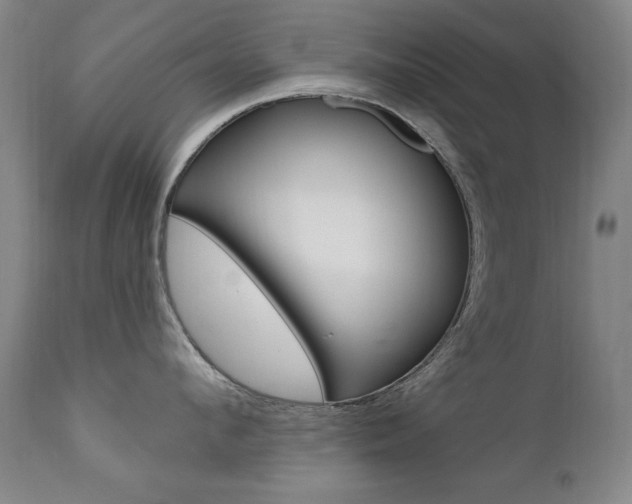 X0000111580912200907161153