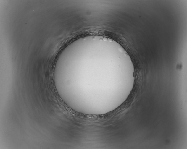X0000111580913200907161152