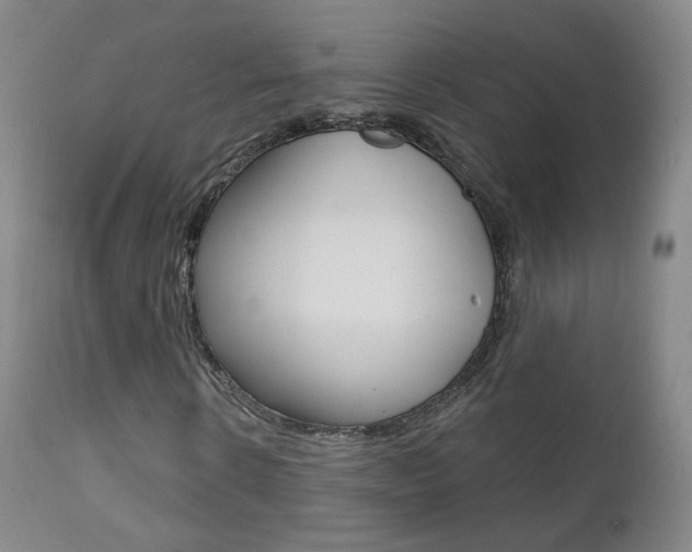 X0000111580914200907161152