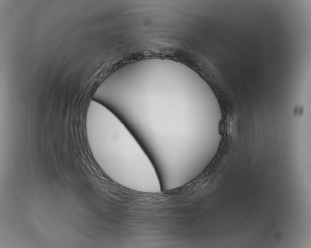 X0000111580915200907161152