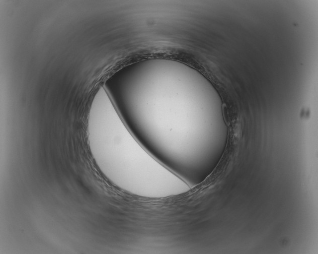 X0000111580916200907161152