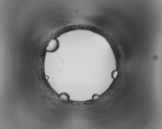 X0000111580918200907161152