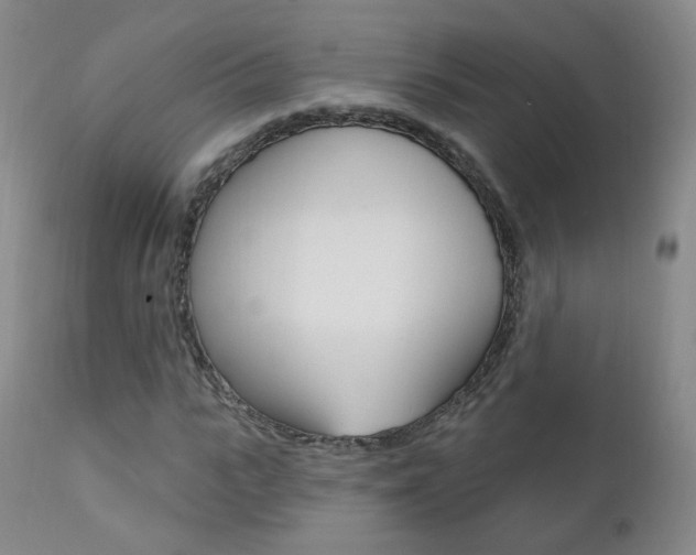 X0000111580919200907161152