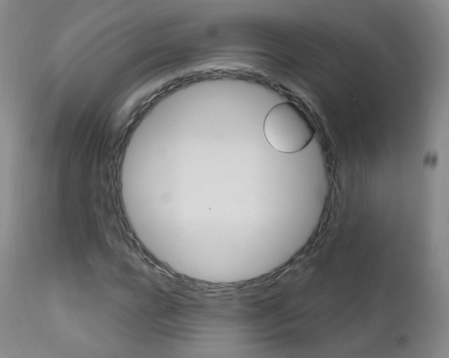 X0000111580920200907161152
