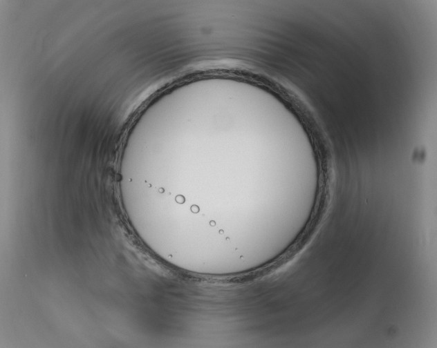 X0000111580921200907161152