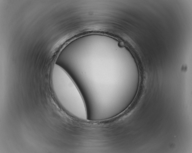 X0000111580922200907161152