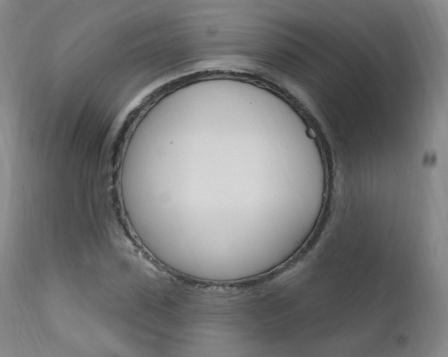 X0000111580923200907161152