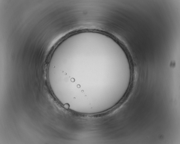 X0000111580925200907161152
