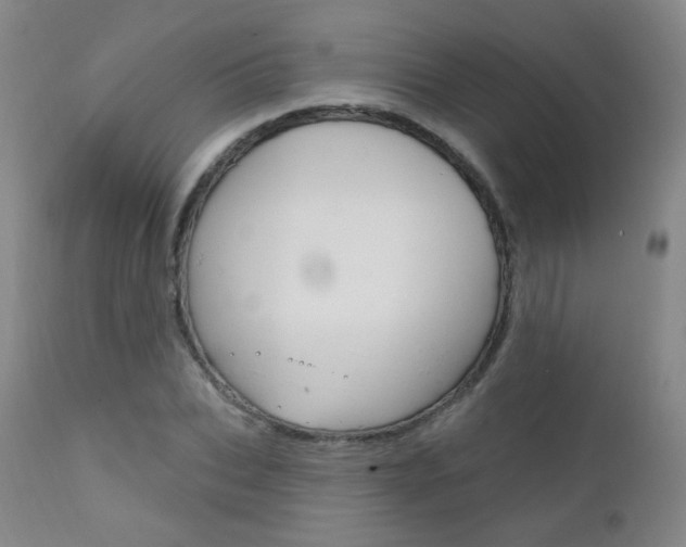 X0000111580927200907161152