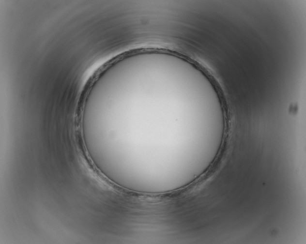 X0000111580928200907161152
